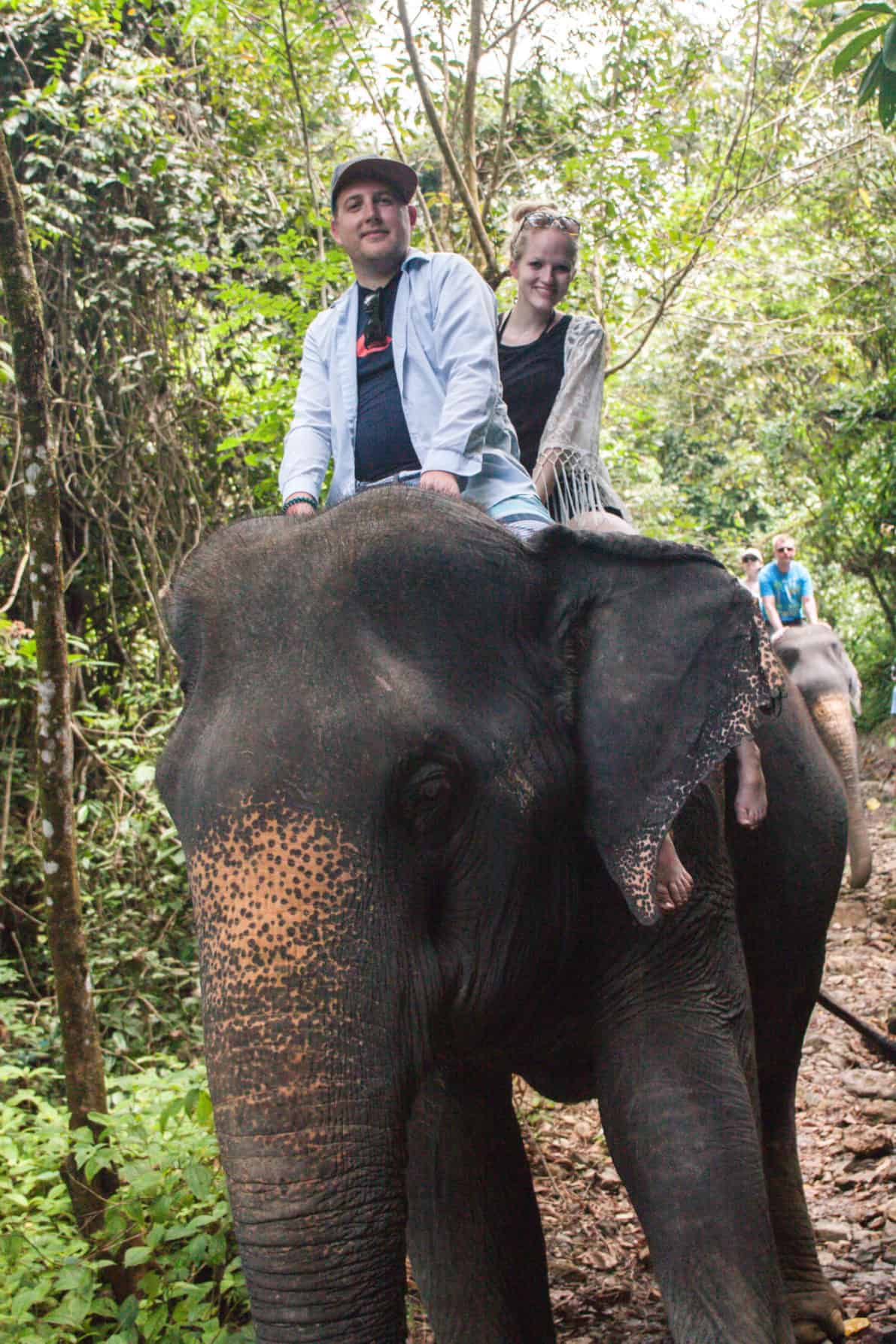 Don't support unethical animal tourism. Instead meet elephants up close and personal, and back ethical elephant tourism at the Phang Nga Elephant Park.