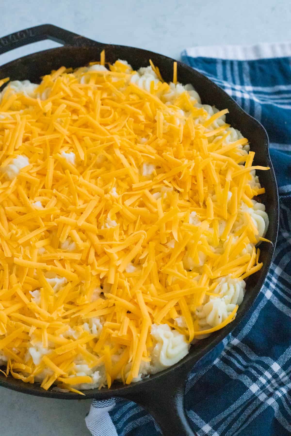 Shepherds Pie with cheese on top ready to bake.