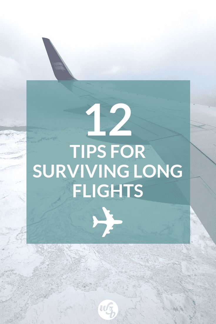Pinterest pin for the 12 Tips for Surviving Long Flights blog post.