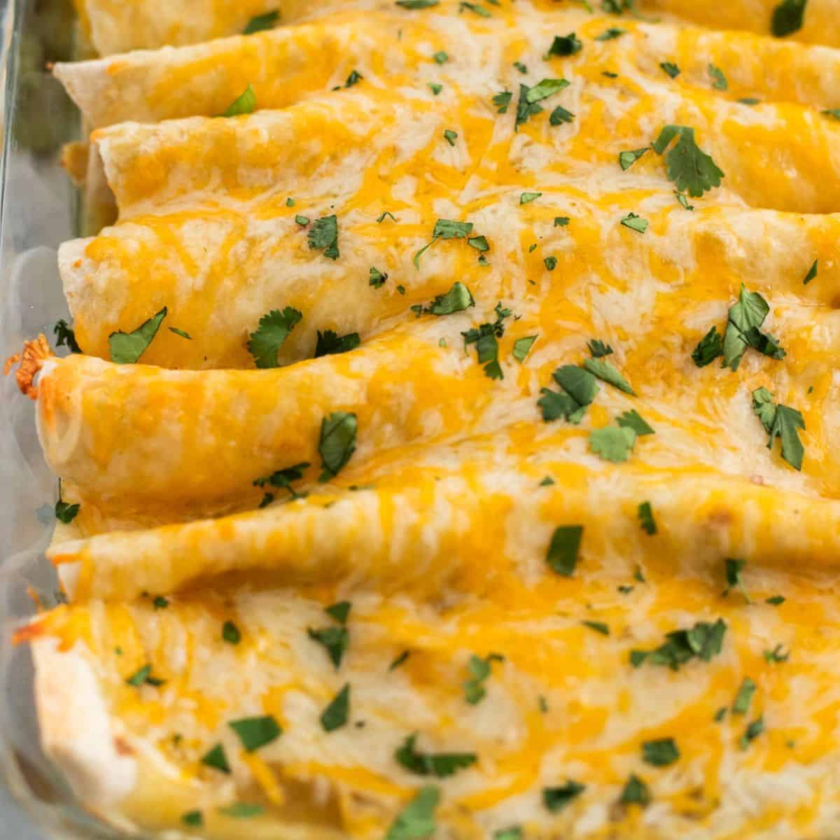 Easy Chicken Enchilada Recipe [wanderzestblog.com]