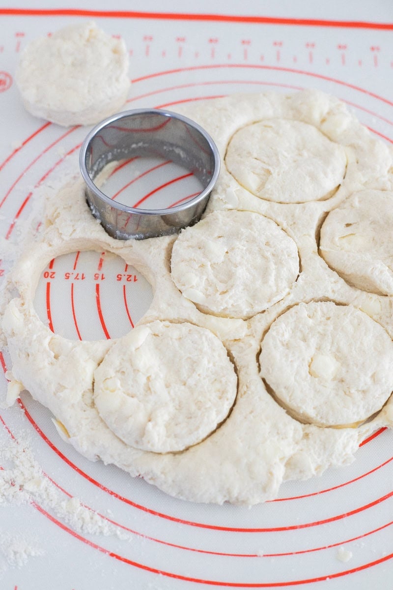 Cutting biscuits with cutter.