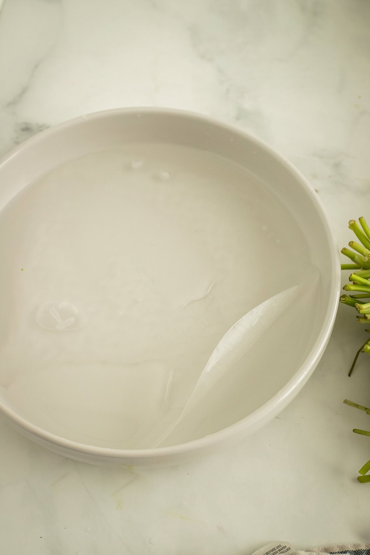 A sheet of rice paper soaking in a dish of water.