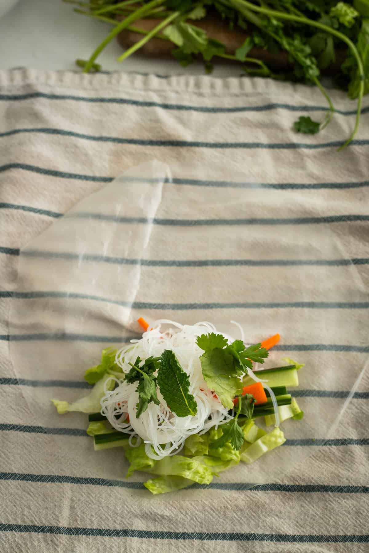 Rice paper topped with chopped veggies.